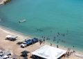 Totoaba, un caso de recuperación marina en el Mar de Cortés