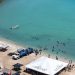 Totoaba, un caso de recuperación marina en el Mar de Cortés