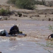 Rescatan con vida a familia arrastrada por creciente del Río Asunción en Caborca, también salvan a sus dos perros