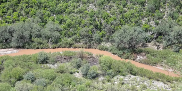 Doce años del desastre de Grupo México en el Río Sonora; las deudas ambientales y sociales continúan