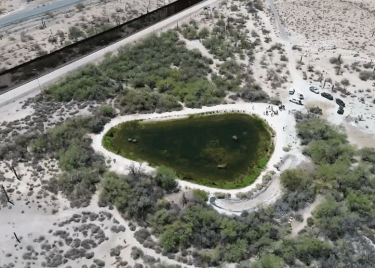 ¿Pondrían dinamita en el Cementerio de Arlington?”: líder Tohono O’odham cuestiona segundo muro fronterizo