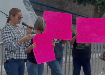 Activistas en Sonora se Manifiestan Contra la Ley de Bienestar Animal