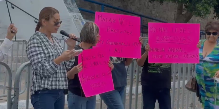 Activistas en Sonora se Manifiestan Contra la Ley de Bienestar Animal