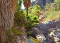 Cañón de Nacapule: un oasis escondido en pleno desierto