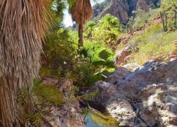 Cañón de Nacapule: un oasis escondido en pleno desierto