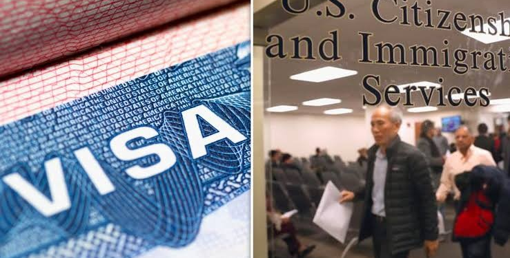 Estados Unidos se prepara para la mayor revocación de visas en su historia; se estima que afectará hasta a 200,000 extranjeros