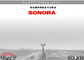 Tendencias de los precandidatos a la gubernatura de Sonora rumbo al 2027 – 27 de Agosto 2026