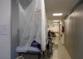 México acumula 4 mil 152 casos de dengue en 2026; Sonora encabeza lista
