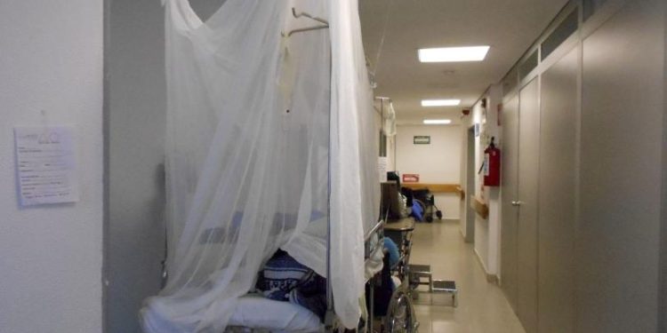 México acumula 4 mil 152 casos de dengue en 2026; Sonora encabeza lista