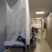 México acumula 4 mil 152 casos de dengue en 2026; Sonora encabeza lista