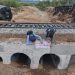 Acusan negligencia tras descarrilamiento y contaminación química en Naco, Sonora