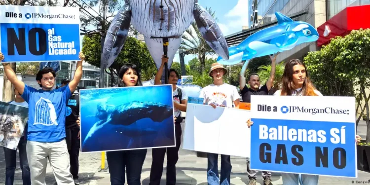 ¿Ballenas o gas? La encrucijada del Golfo de California