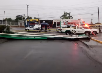Fuerte tormenta inunda calles de Cajeme; caen árboles y postes de la CFE