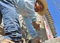 Exhorta Gobierno de Sonora a protegerse de los golpes de calor