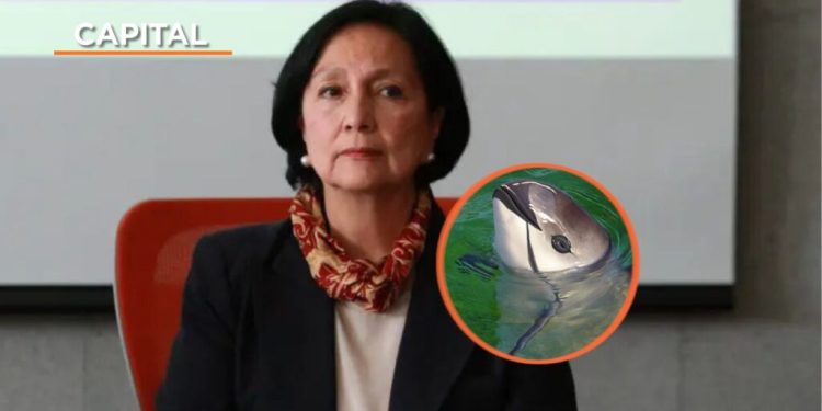 Amalia García alerta por riesgo de extinción de la vaquita marina