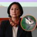 Amalia García alerta por riesgo de extinción de la vaquita marina