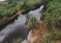 Derrame químico: expertos advierten potenciales impactos en la salud, agua, y suelos de Naco, Sonora