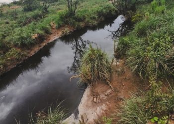 Derrame químico: expertos advierten potenciales impactos en la salud, agua, y suelos de Naco, Sonora