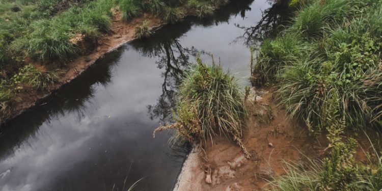 Derrame químico: expertos advierten potenciales impactos en la salud, agua, y suelos de Naco, Sonora