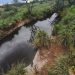 Derrame químico: expertos advierten potenciales impactos en la salud, agua, y suelos de Naco, Sonora