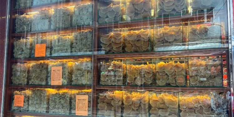 Fish Maw: Una pesadilla emergente en la conservación oceánica
