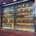 Fish Maw: Una pesadilla emergente en la conservación oceánica