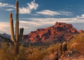 Hallan 73 cadáveres de migrantes en el desierto de Arizona en lo que va de 2026