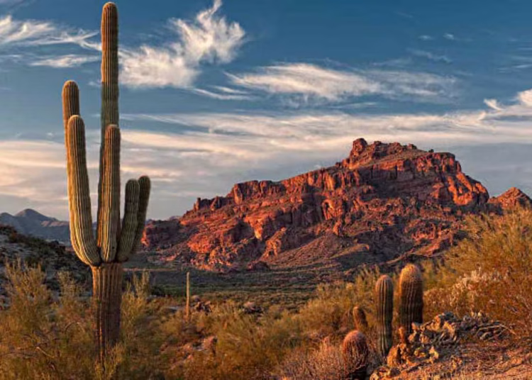 Hallan 73 cadáveres de migrantes en el desierto de Arizona en lo que va de 2026