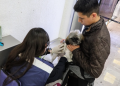Fija México medidas para gusano barrenador en perros y aves de EU