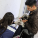 Fija México medidas para gusano barrenador en perros y aves de EU