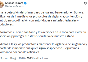 Alfonso Durazo informa del primer caso de gusano barrenador en Sonora