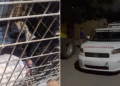 Investigan Caso de Perra Agredida con Agua Hirviendo en Hermosillo