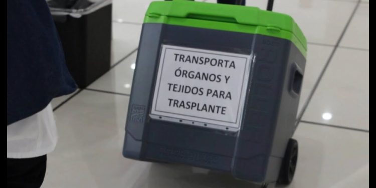 Busca SSa Sonora mejorar trasporte de órganos y tejidos para trasplantes