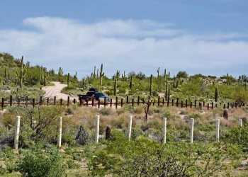 Muro de Trump dividirá a Nación Tohono O’Odham