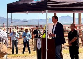 A punto de reabrir la frontera al ganado: Sonora espera el primer cruce hacia Estados Unidos