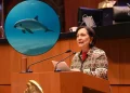 Senadora de MC pide evitar la extinción de la vaquita marina y proteger el Golfo de California