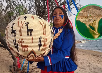 El rincón de Sonora donde mujeres artesanas mantienen viva una tradición milenaria heredada de sus abuelas: la cestería
