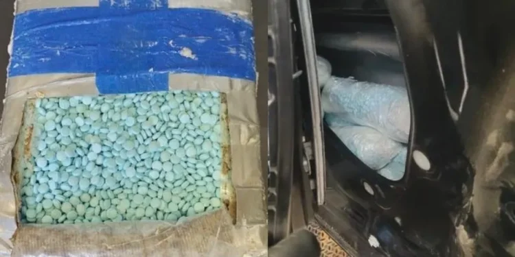 Decomisan cerca de un millón de pastillas de fentanilo en Nogales, Sonora; detuvieron a 43 personas en frontera con EU