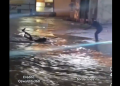 Video del momento: motociclista queda atrapado en arroyo durante lluvia en Nogales, Sonora