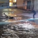Video del momento: motociclista queda atrapado en arroyo durante lluvia en Nogales, Sonora