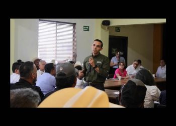Planifican ciclo agrícola 2026-2027 para los valles Yaqui- Mayo
