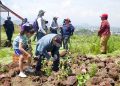 Sheinbaum junto con 32 gobernadores, pondrá en marcha Jornada Nacional de Reforestación el próximo domingo