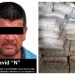 Detienen a hombre con más de 2.6 toneladas de metanfetamina ocultas en un tractocamión en Sonora