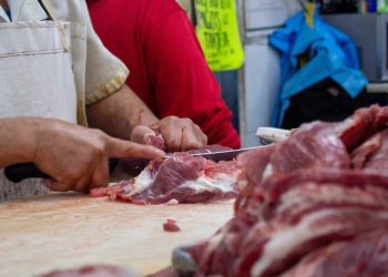 Confirmado: ya se elevó el precio del ganado en pie en Sonora; le sigue el precio de la carne