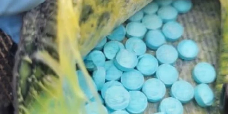 Decomisan 9 mil pastillas de fentanilo ocultas en un vehículo en Nogales, Sonora