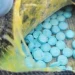 Decomisan 9 mil pastillas de fentanilo ocultas en un vehículo en Nogales, Sonora