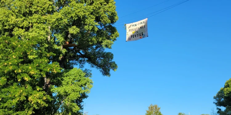 La protesta para salvar los álamos del muro fronterizo abarca ahora ambos lados de la división entre Arizona y Sonora