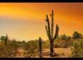 Más de 200 ranchos y dos minas se han recuperado en la región del desierto de Sonora durante la administración: Durazo