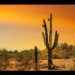 Más de 200 ranchos y dos minas se han recuperado en la región del desierto de Sonora durante la administración: Durazo