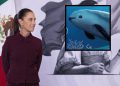 Informarán situación de la vaquita marina en la Mañanera